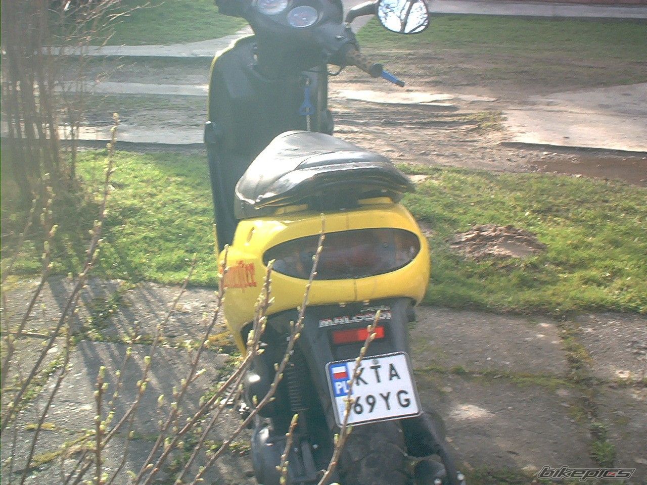 Photo 1216124