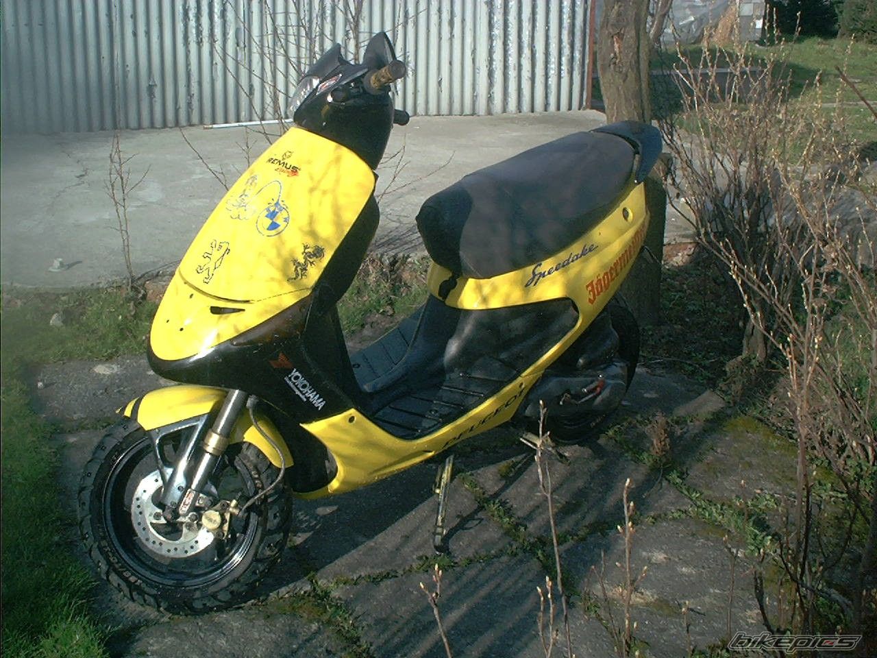 Photo 1216134