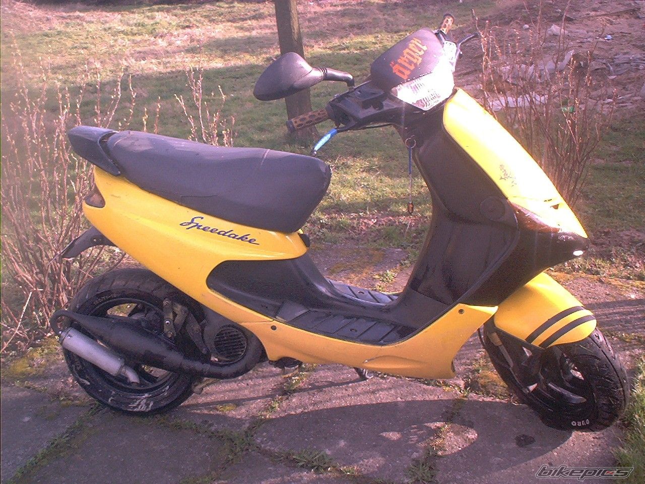 Photo 1216138