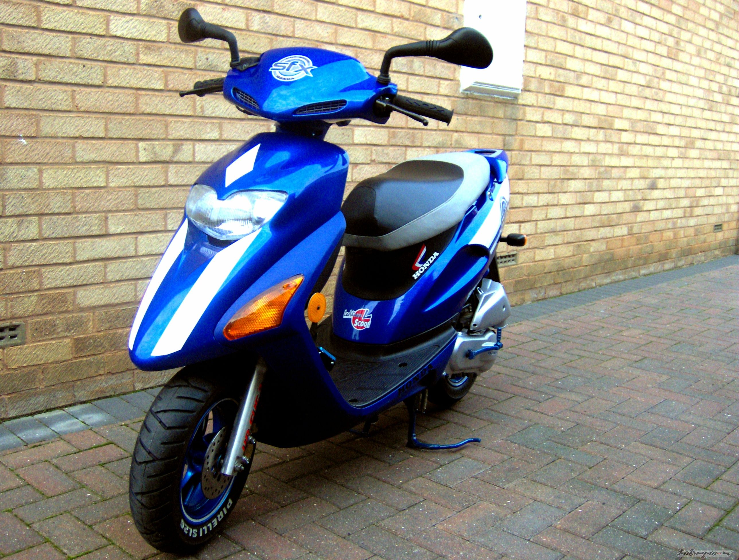Photo 1216194