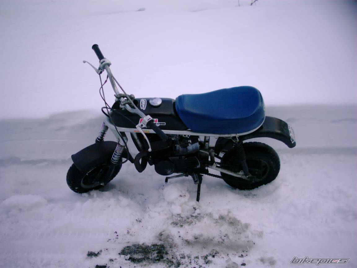 Photo 121649