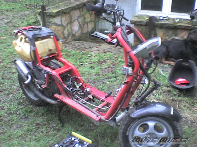 Photo 1216664
