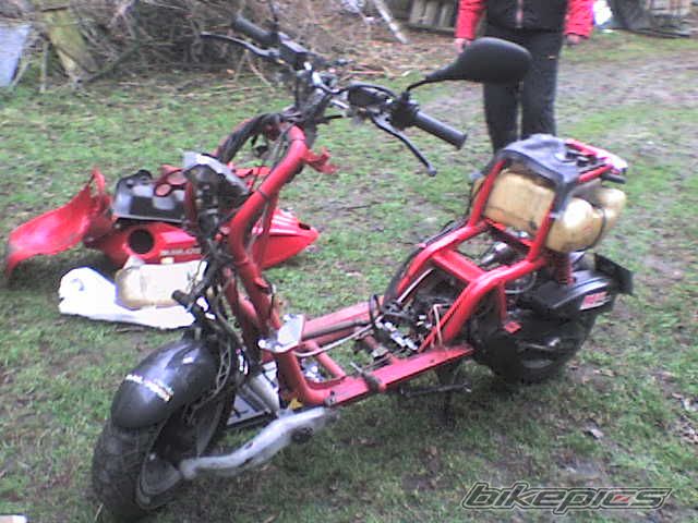 Photo 1216666