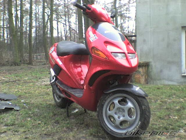 Photo 1216669