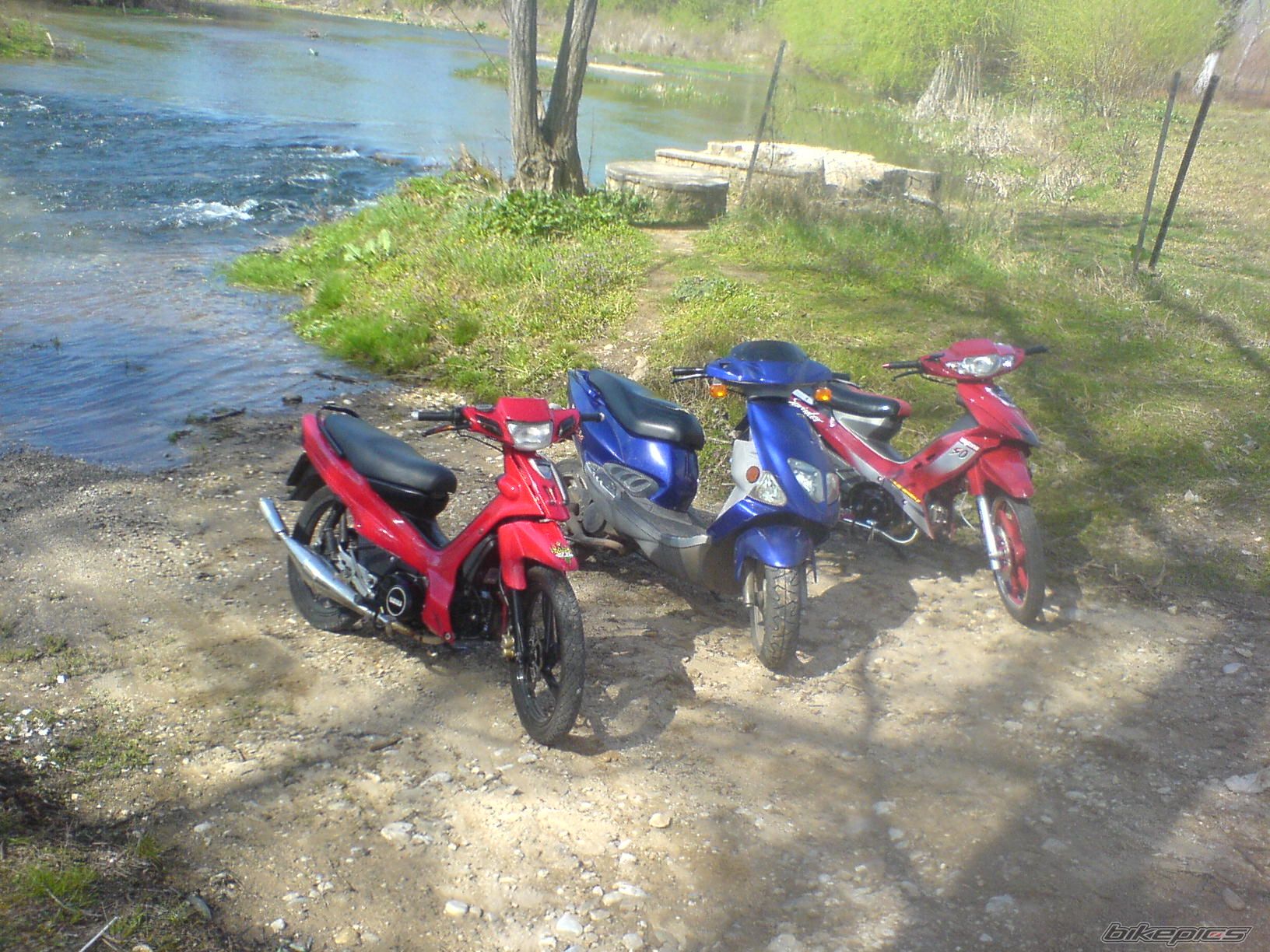 Photo 1216695
