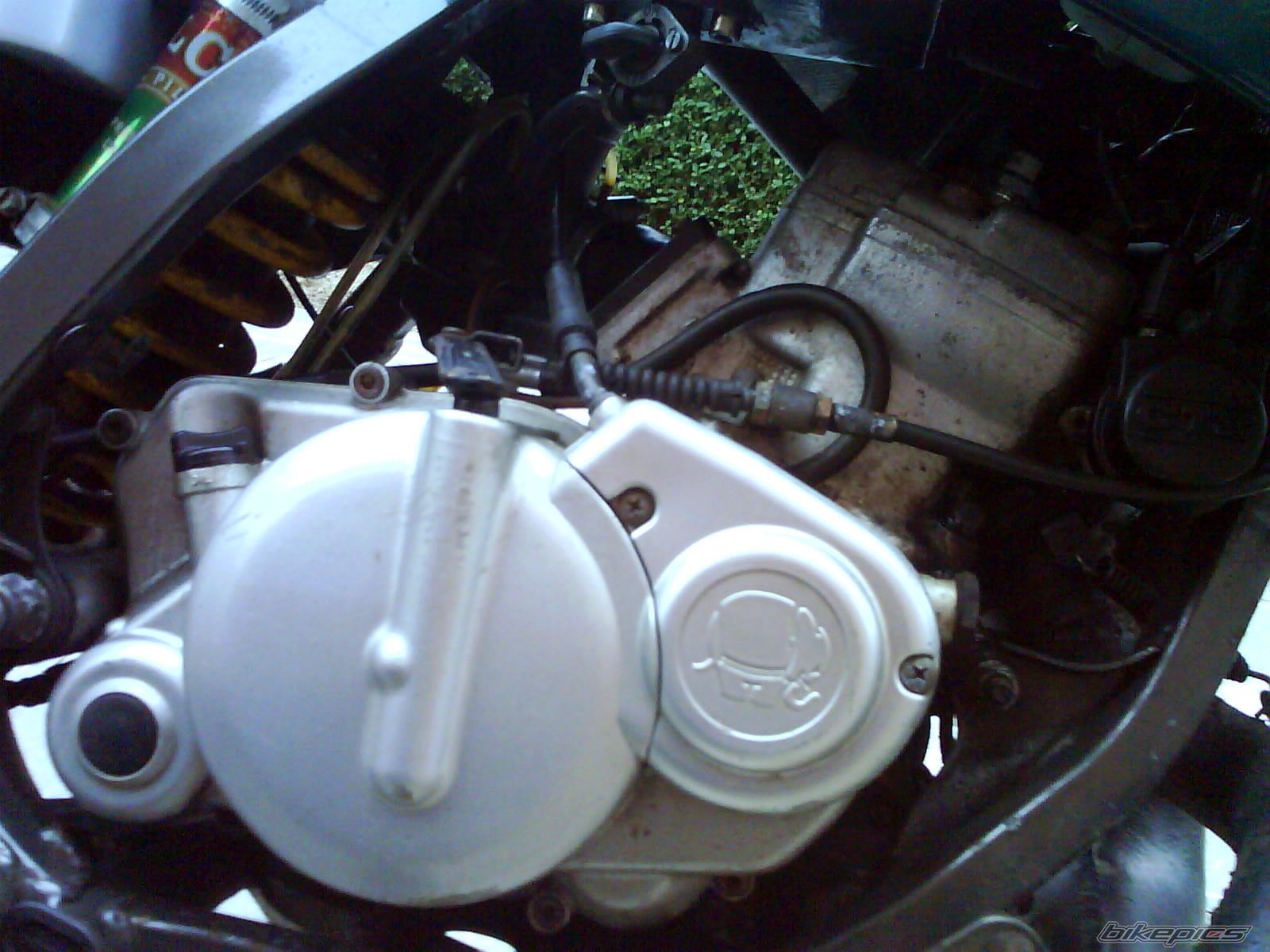 Photo 1216781