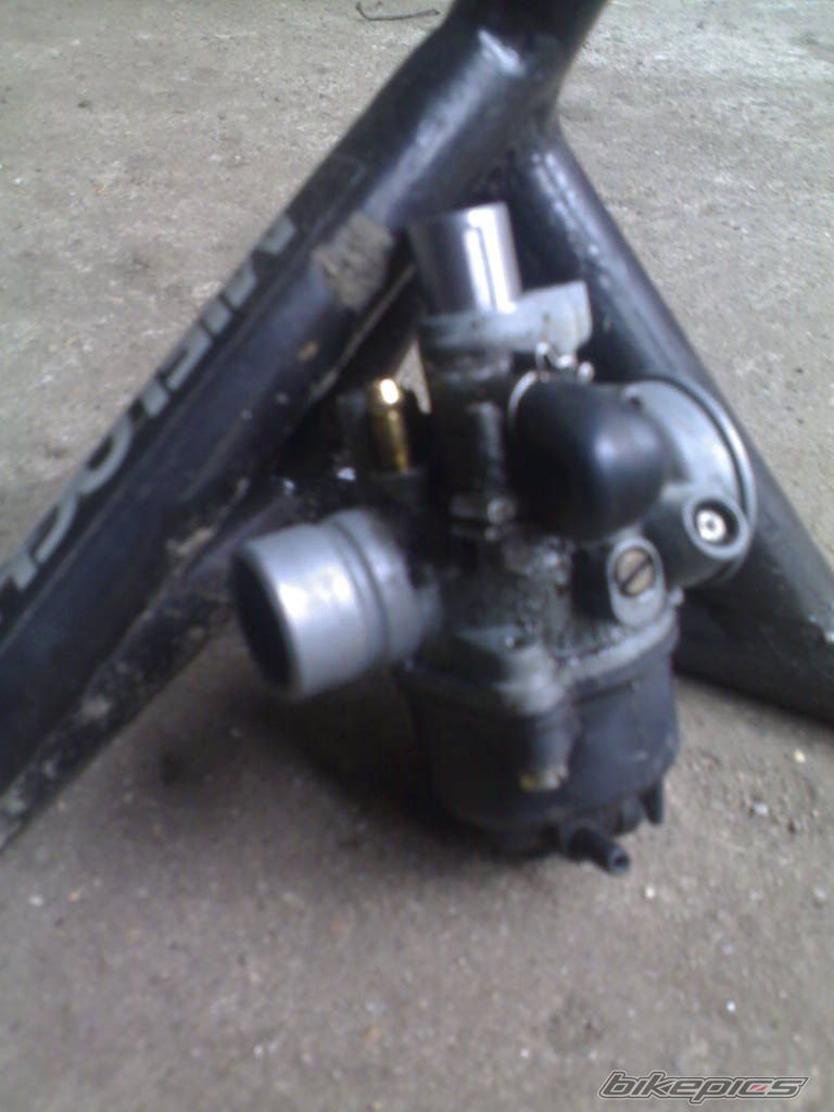 Photo 1216786
