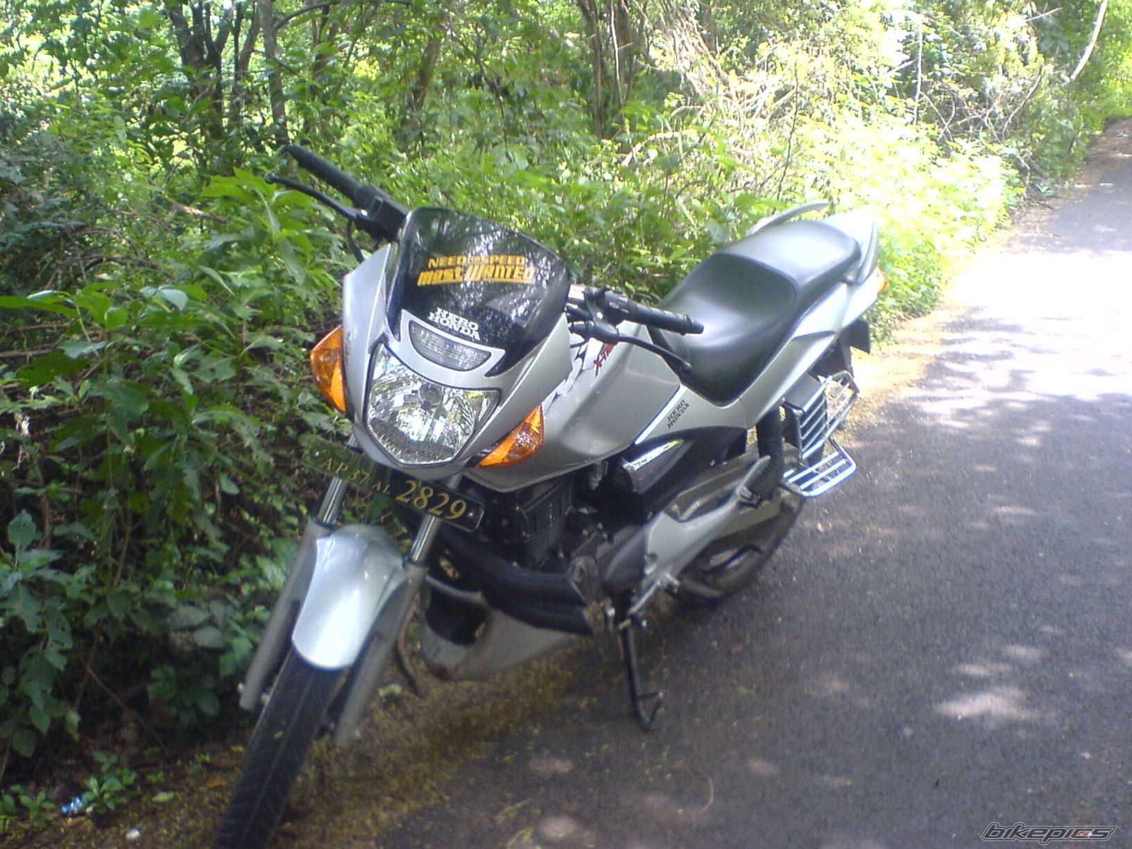 Photo 1216790