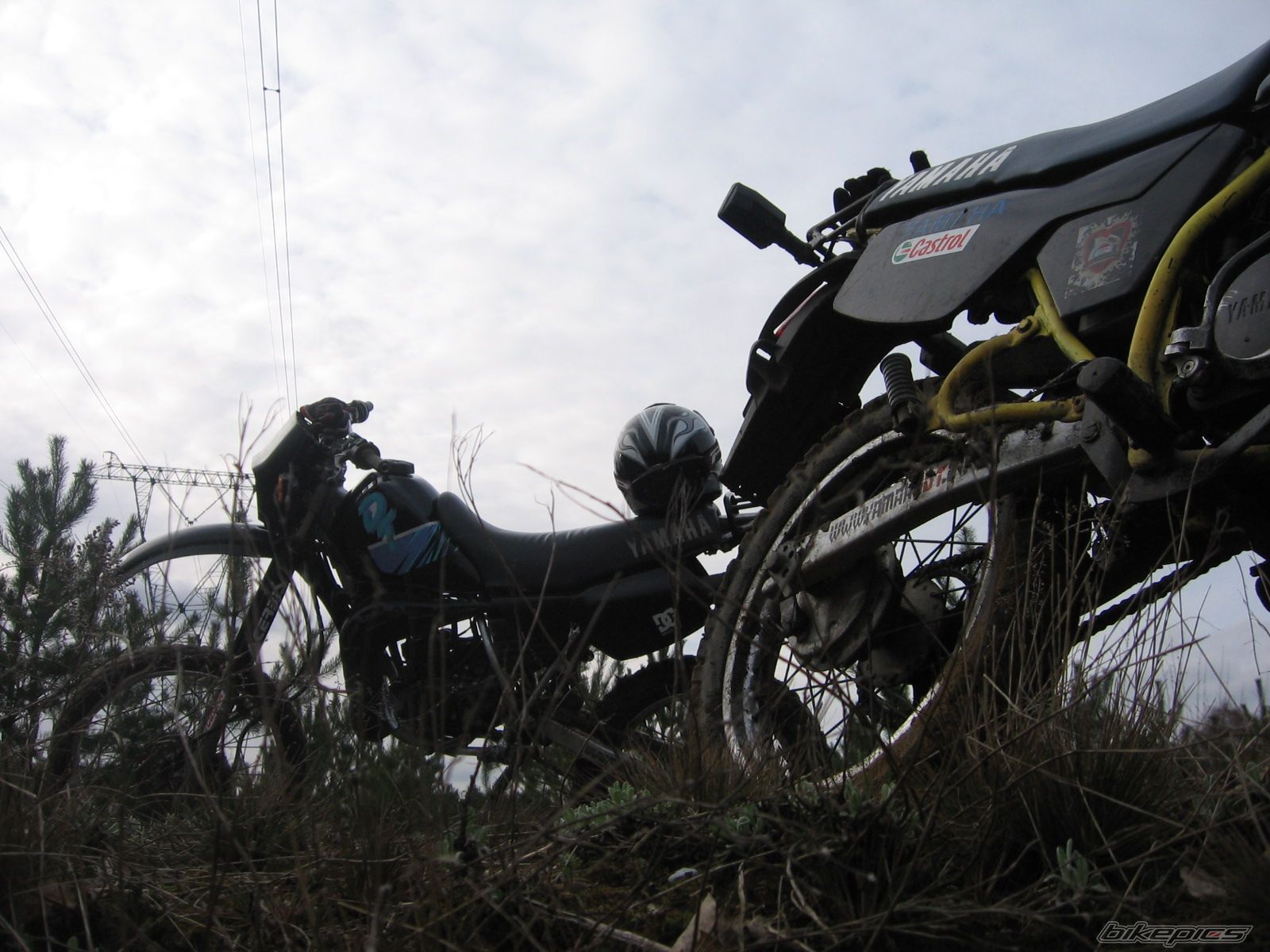 Photo 1216833