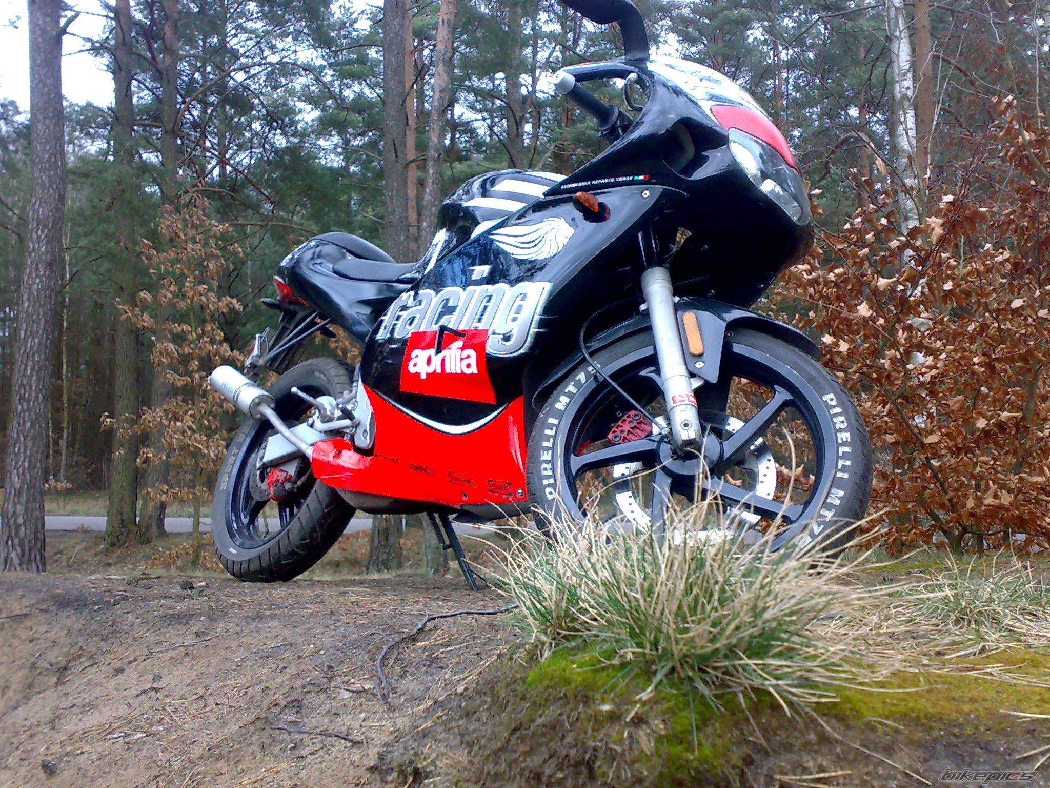 Photo 1216879