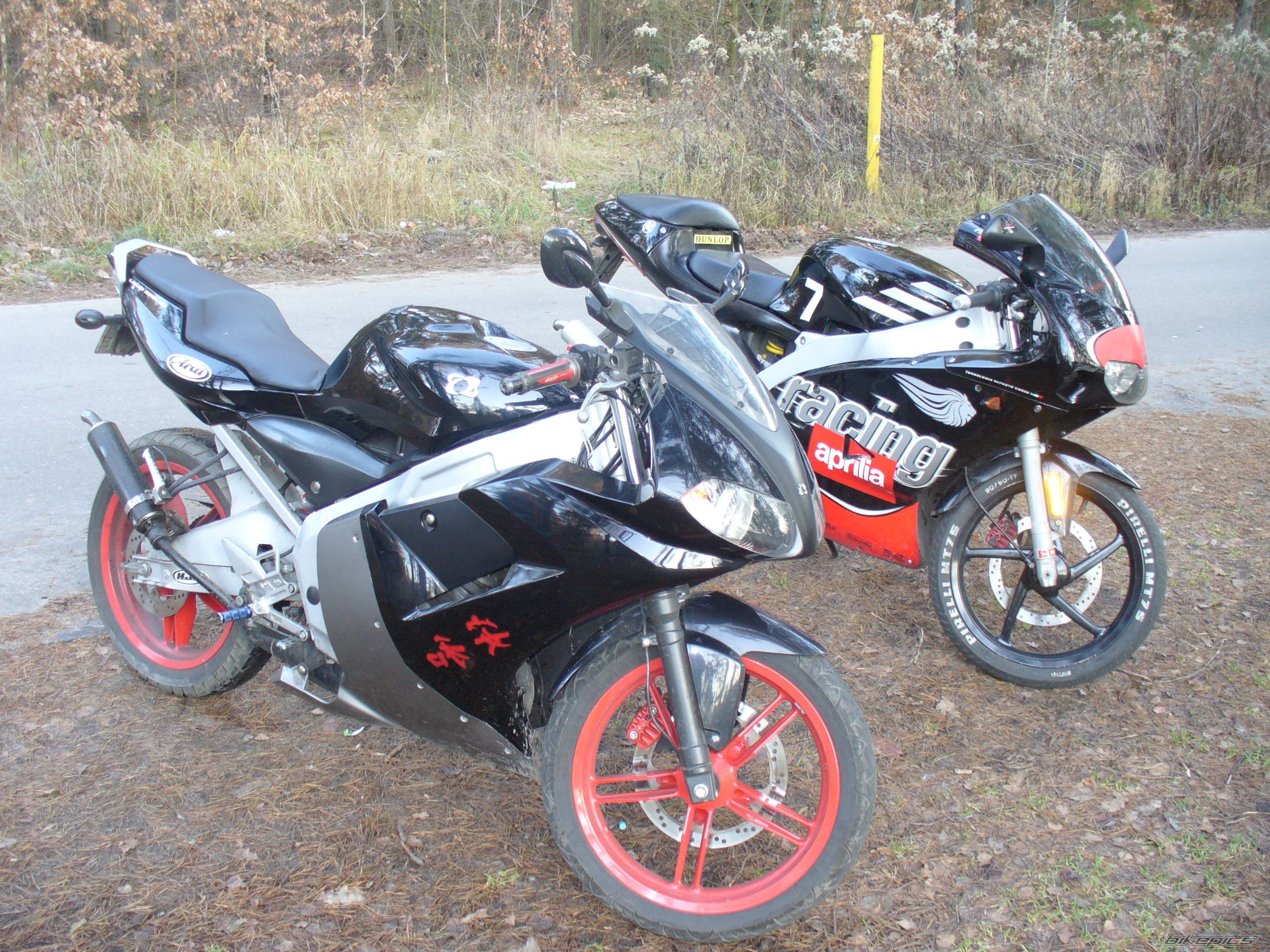 Photo 1216886