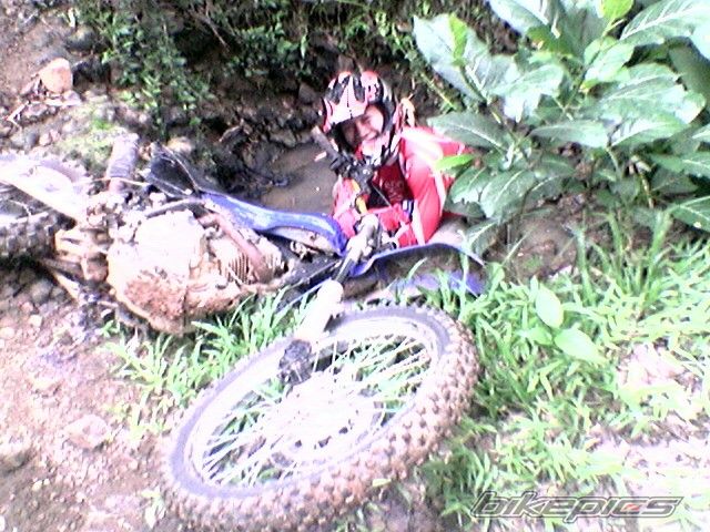 Photo 1216902