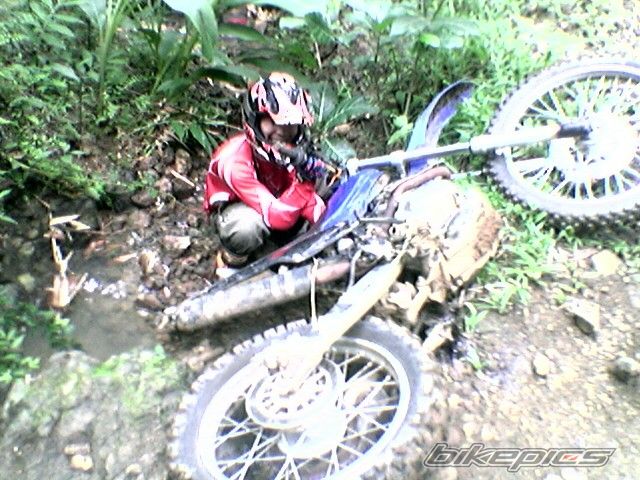 Photo 1216903