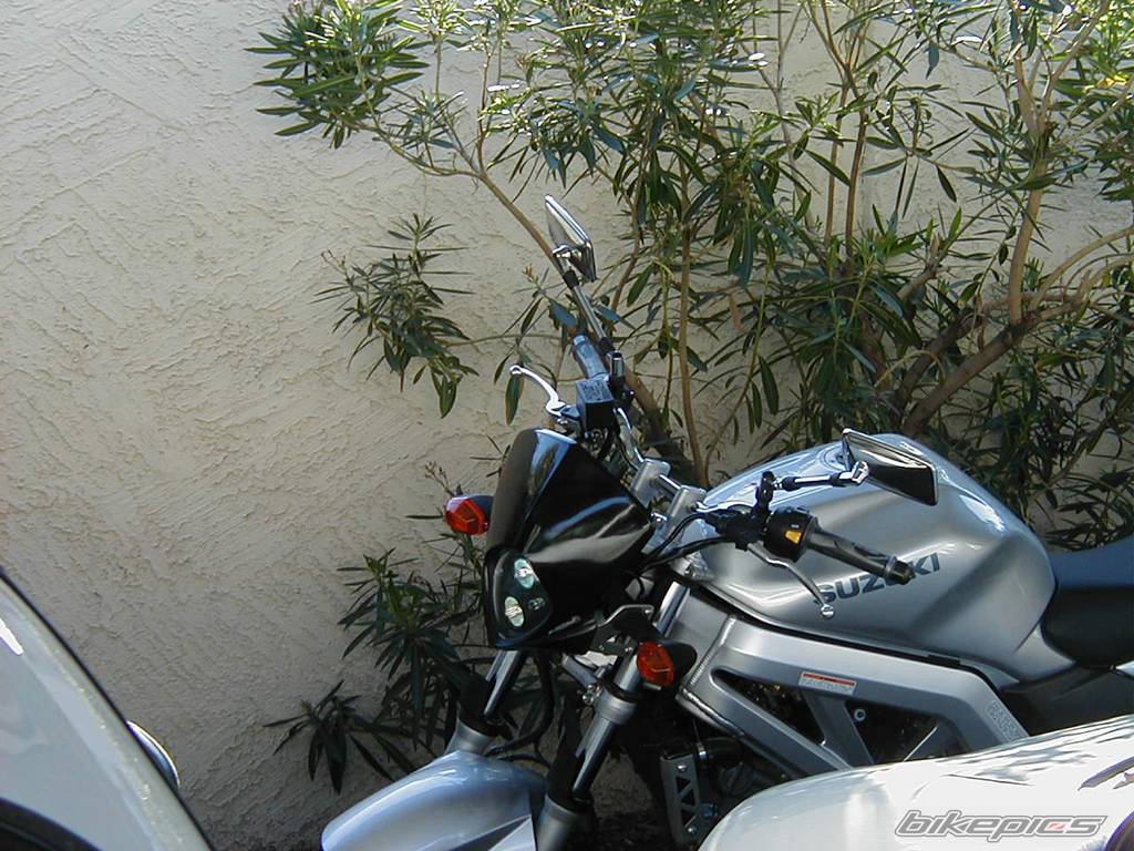 Photo 121693