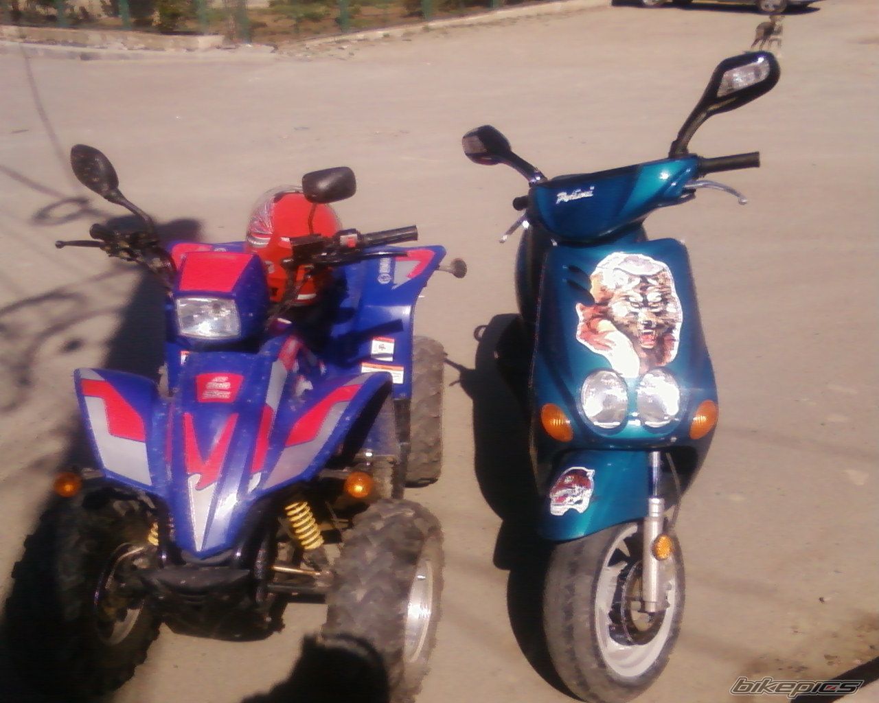 Photo 1216976
