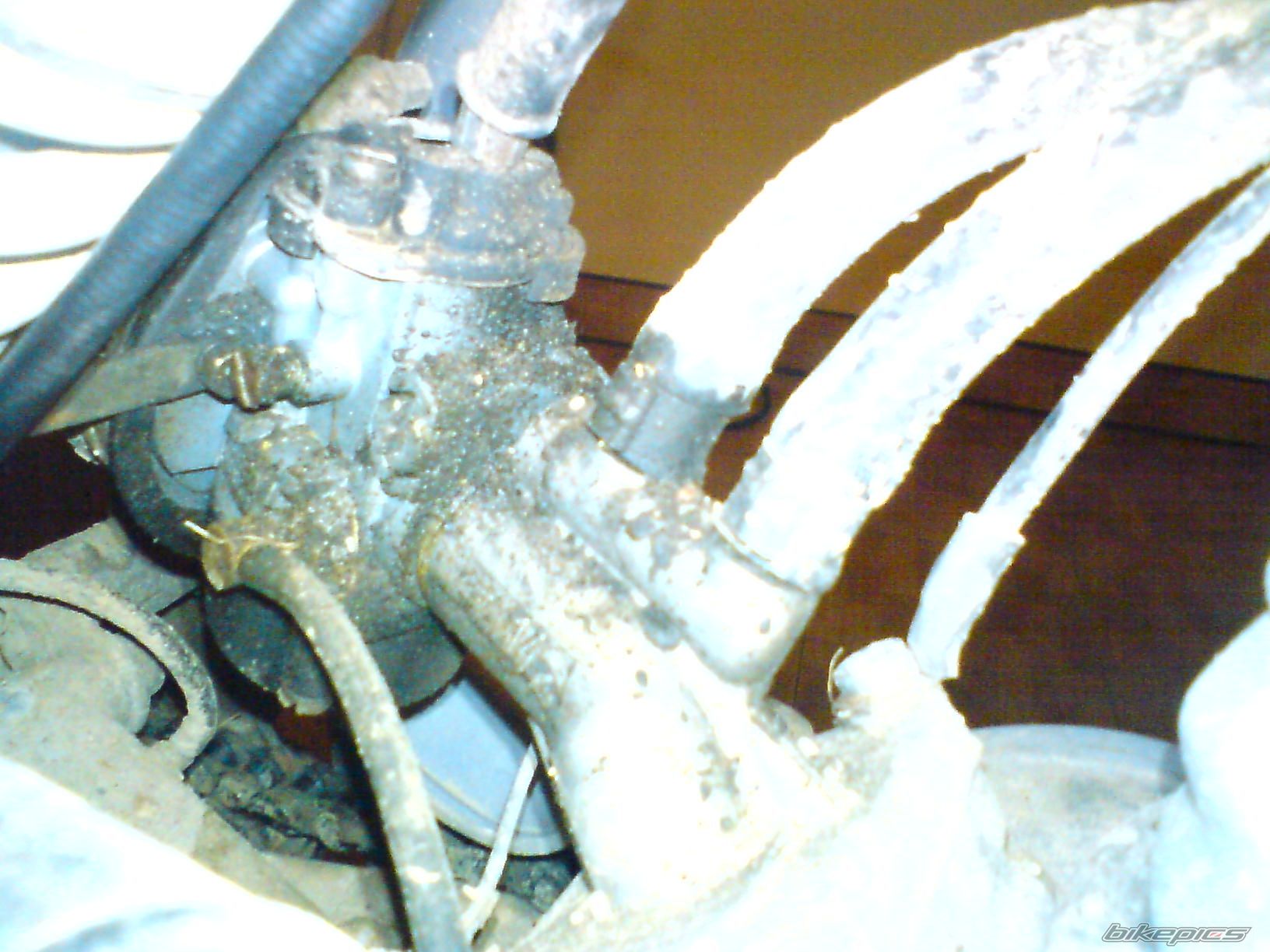 Photo 1216984