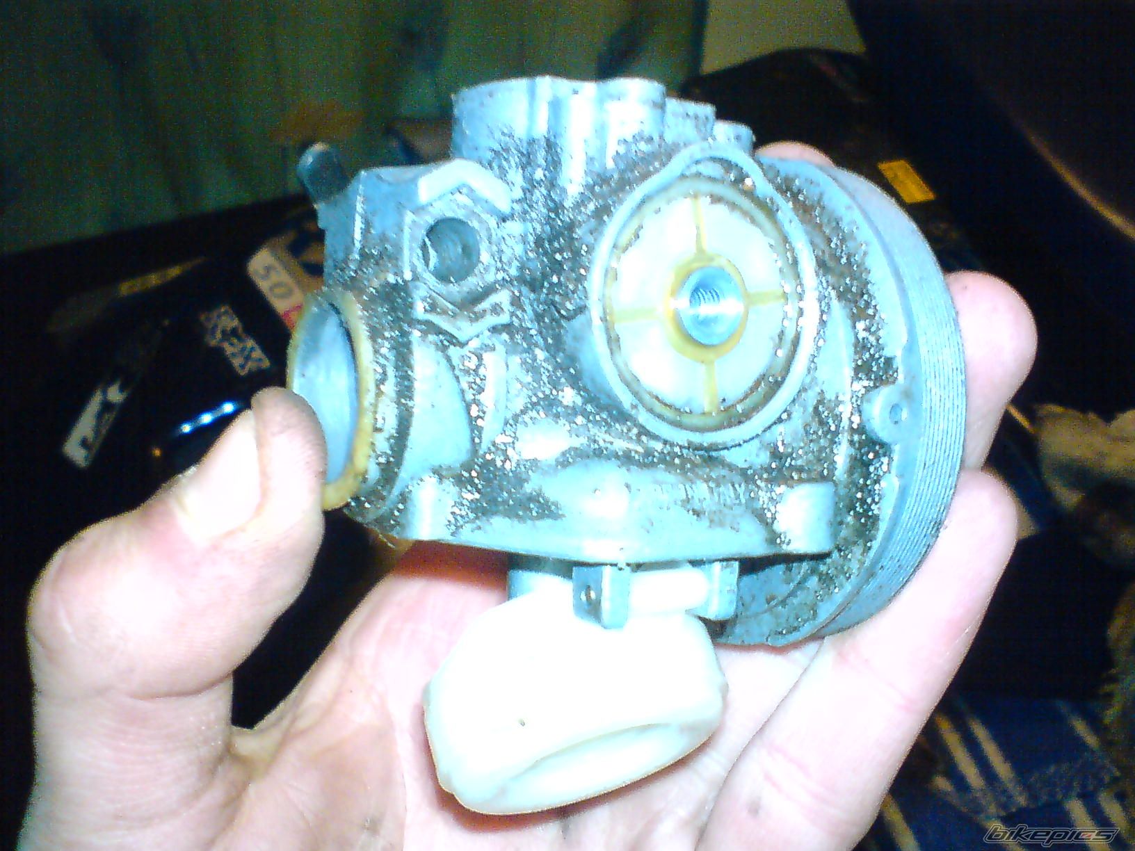 Photo 1216989