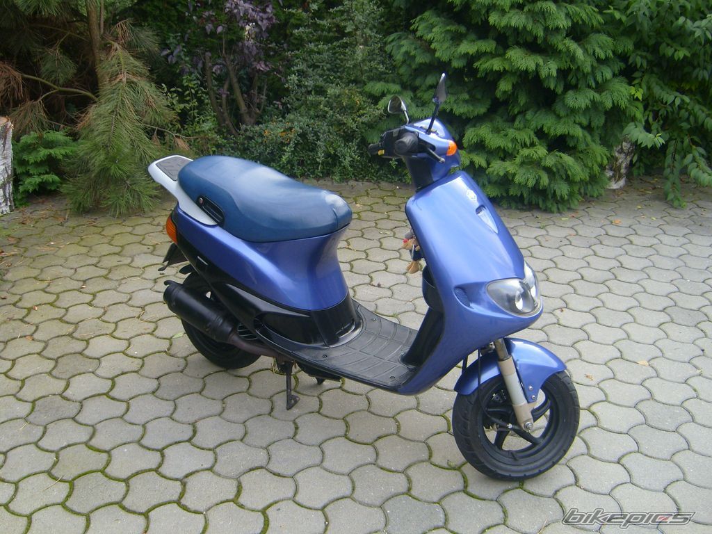 Photo 1217033
