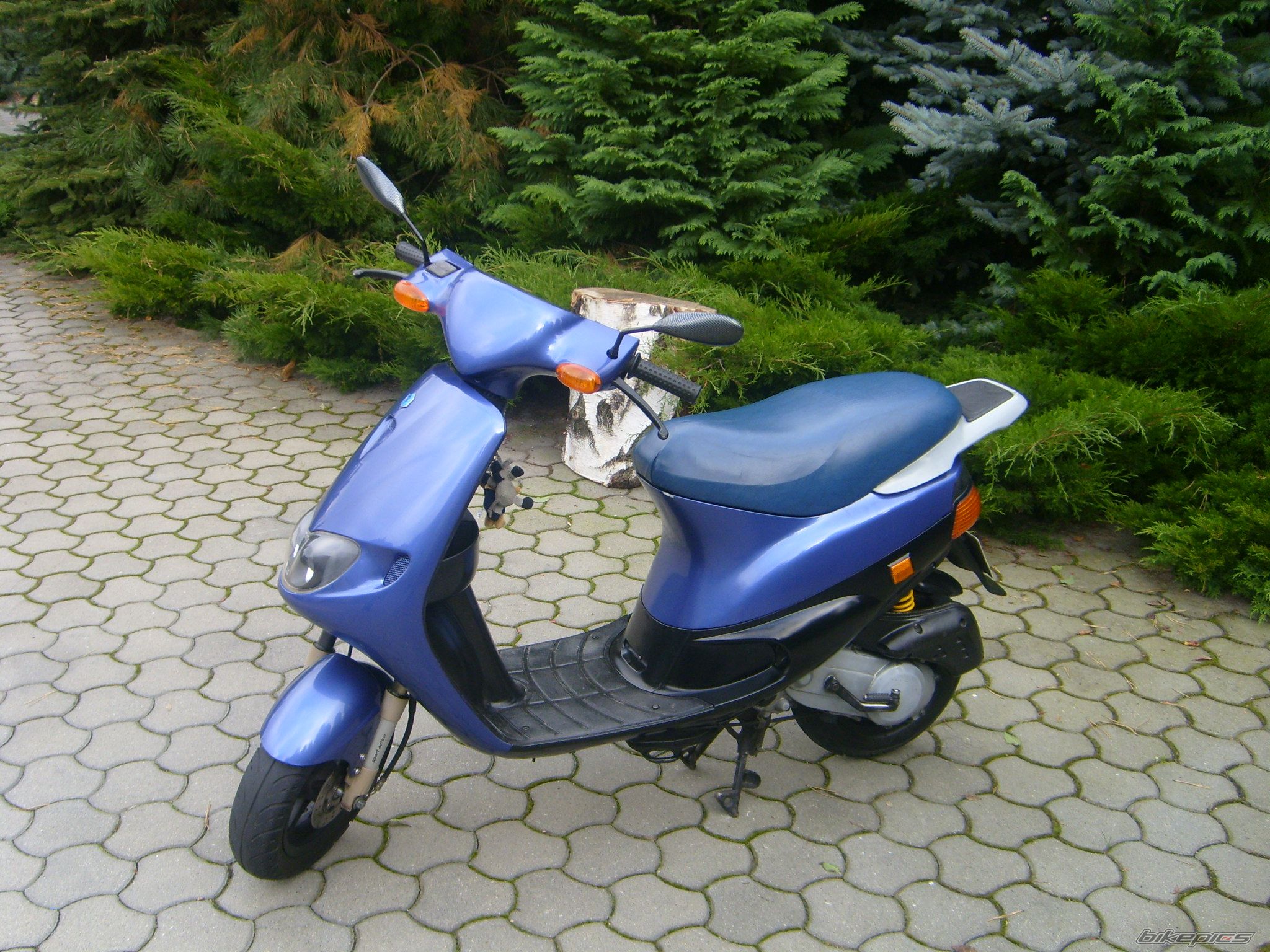 Photo 1217039