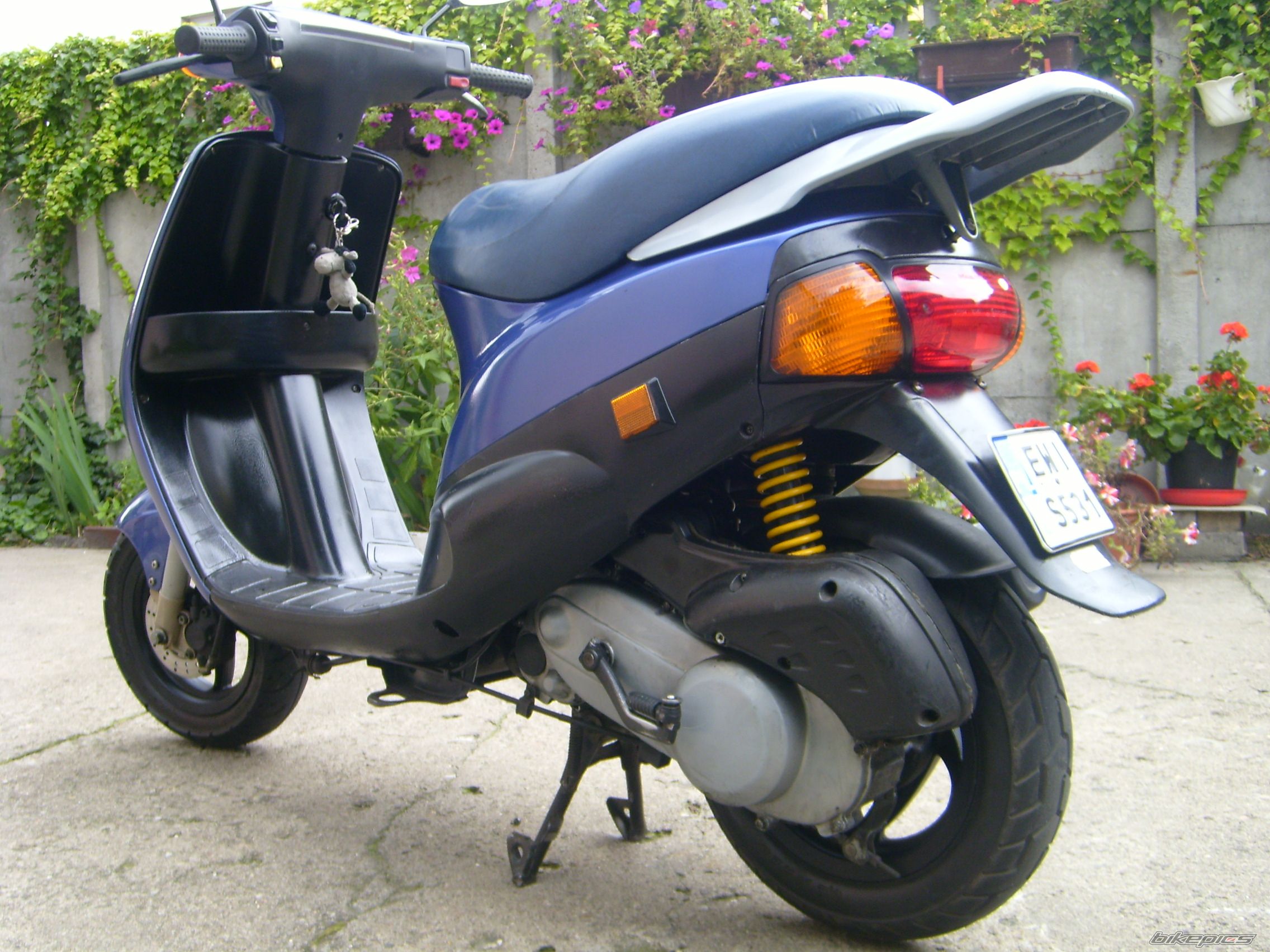 Photo 1217054