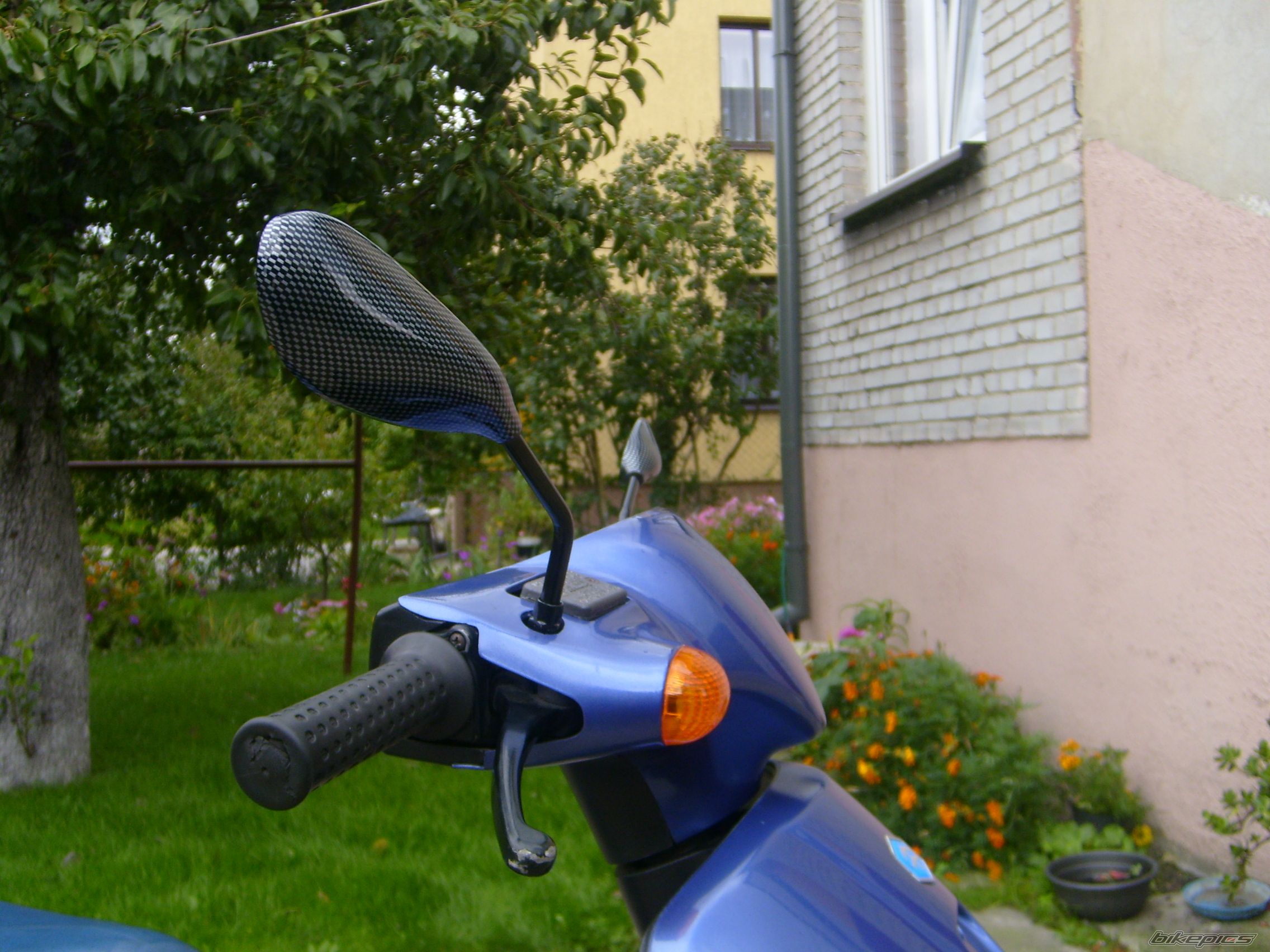 Photo 1217058
