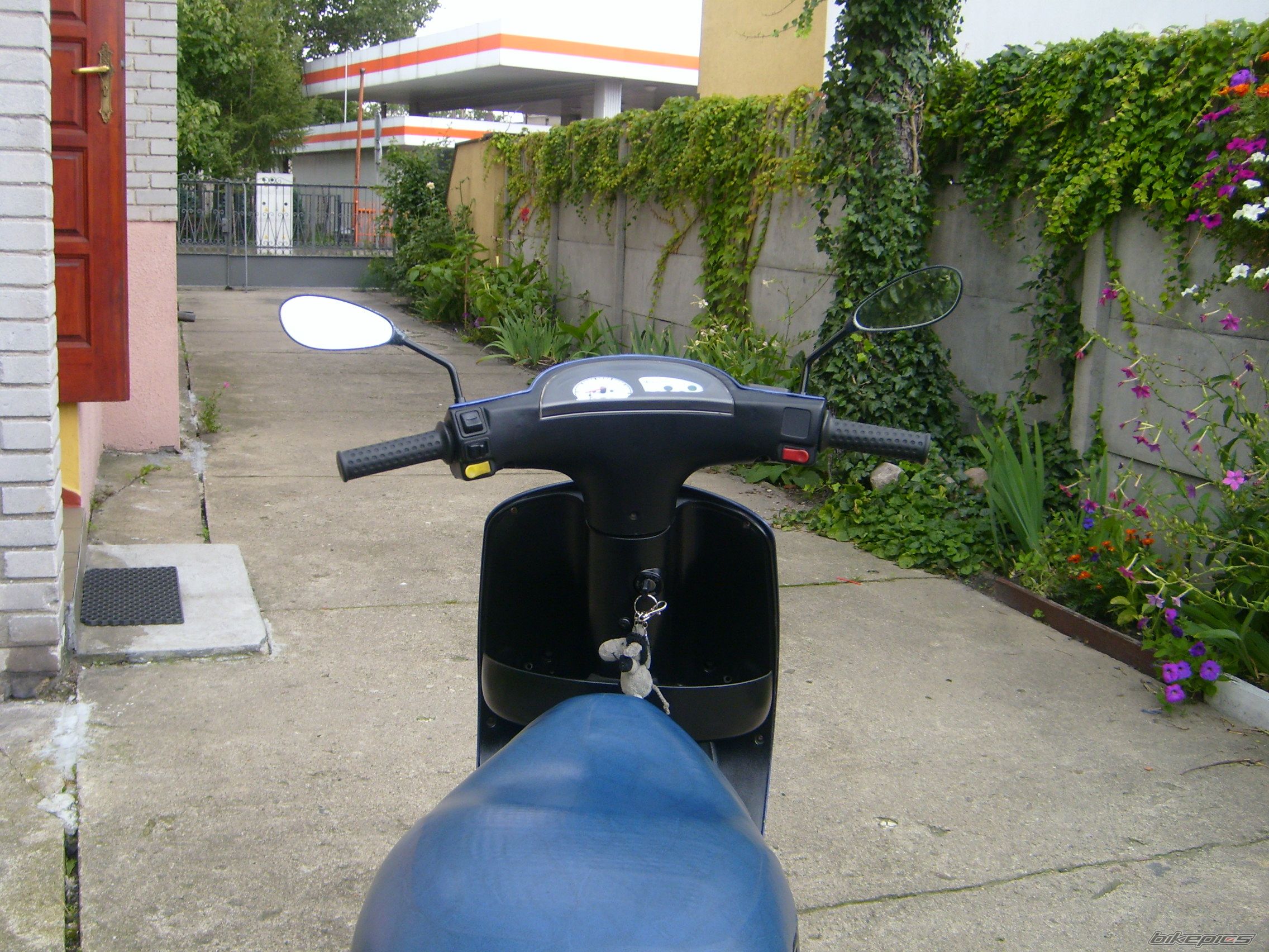 Photo 1217062