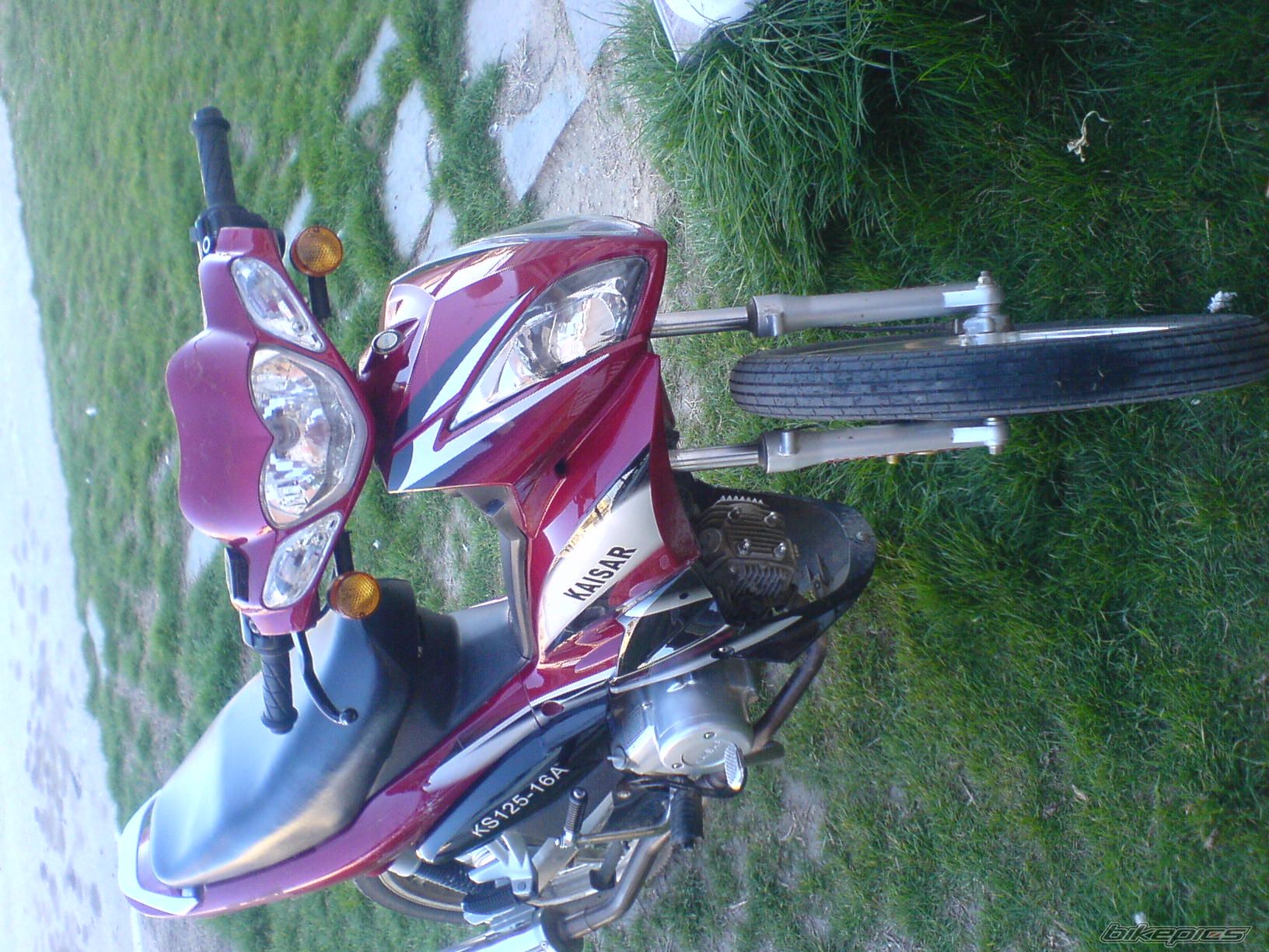 Photo 1217126
