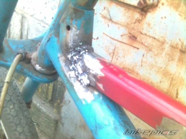 Photo 1217141