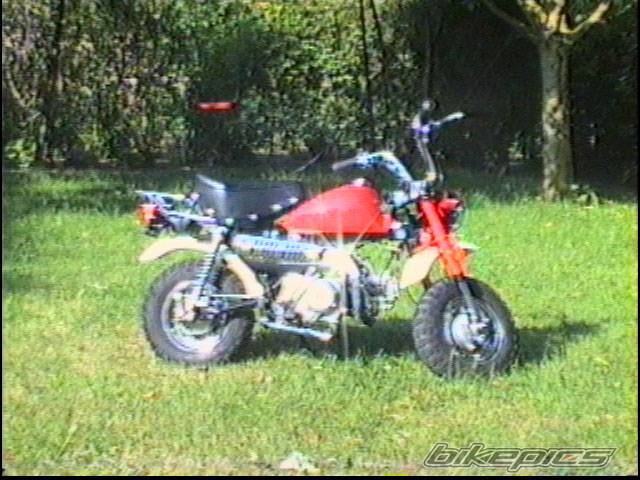 Photo 12172