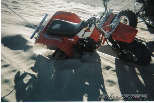 Photo 1217203