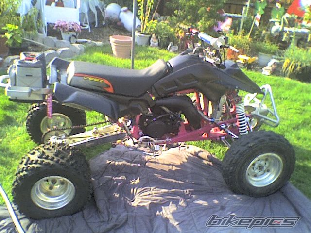 Photo 1217206