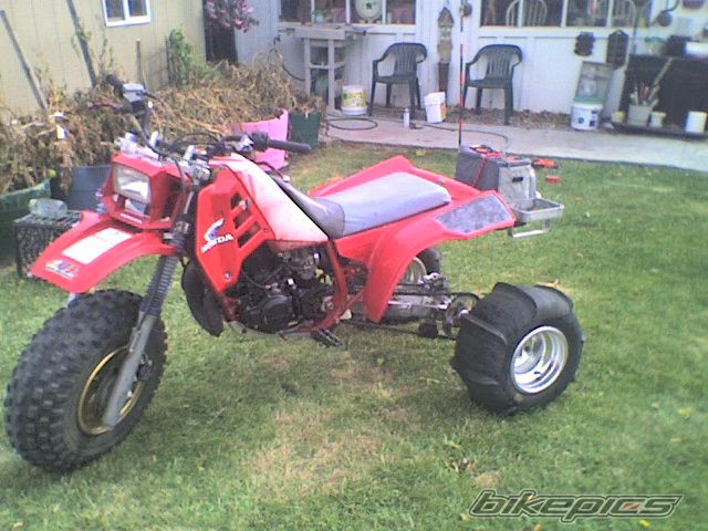 Photo 1217212