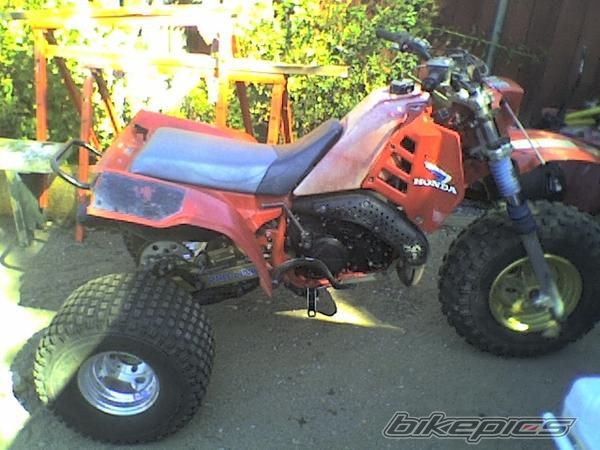 Photo 1217216