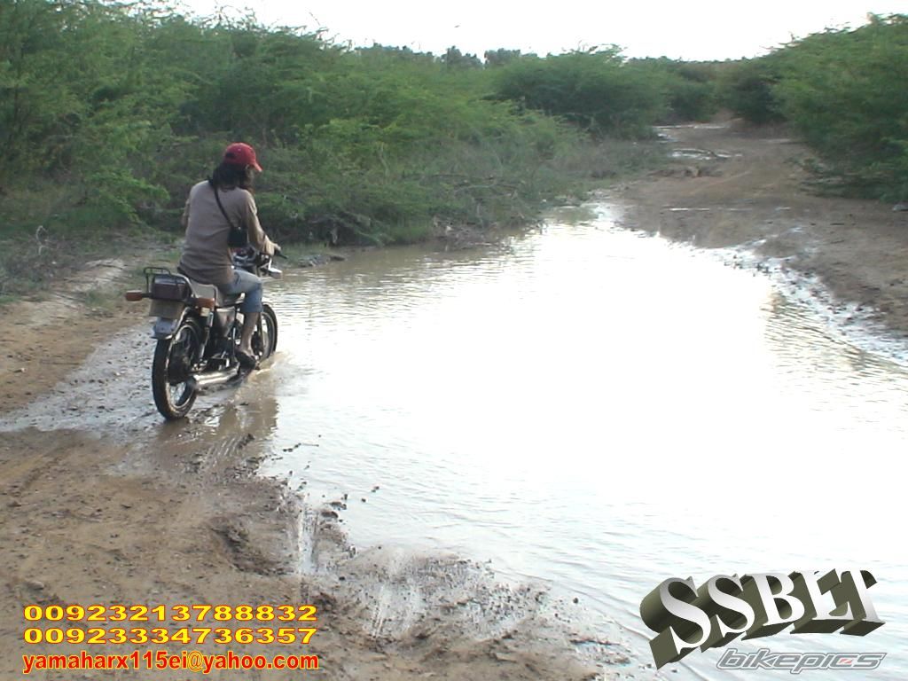 Photo 1217264