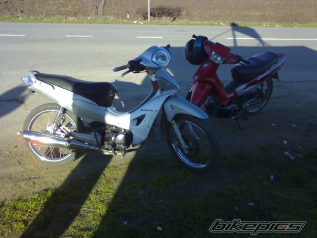 Photo 1217277