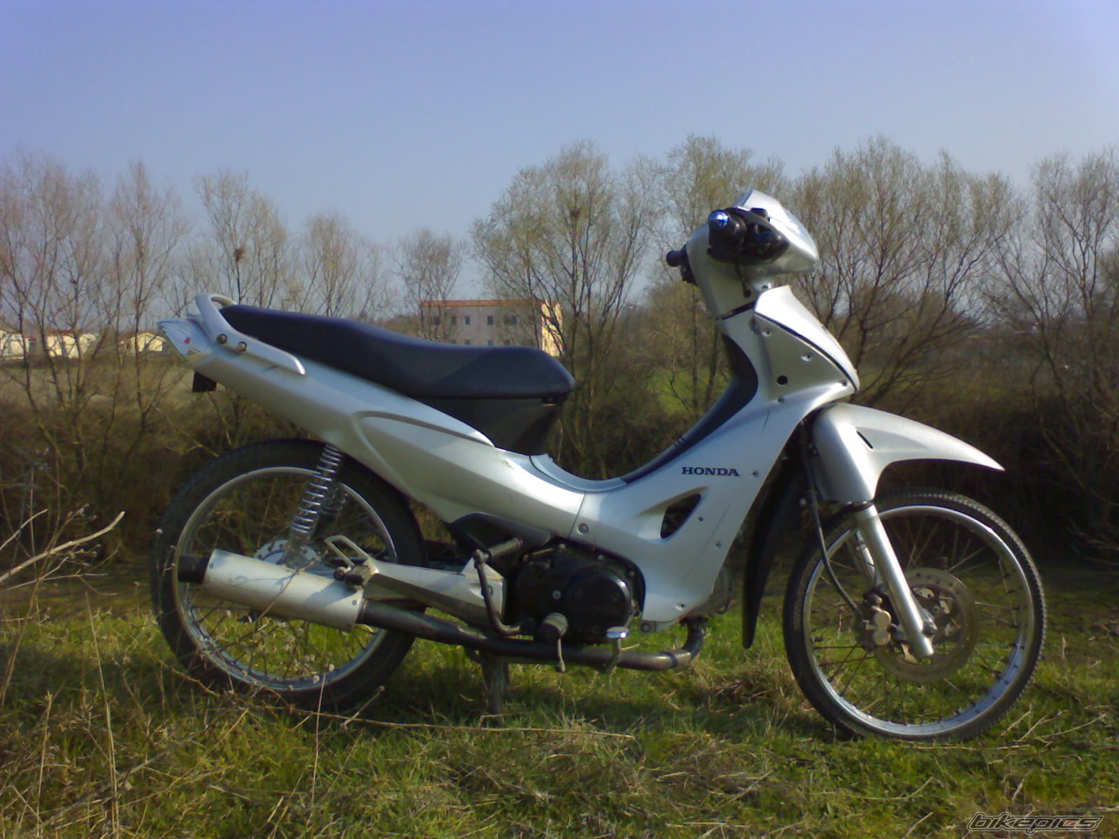 Photo 1217278