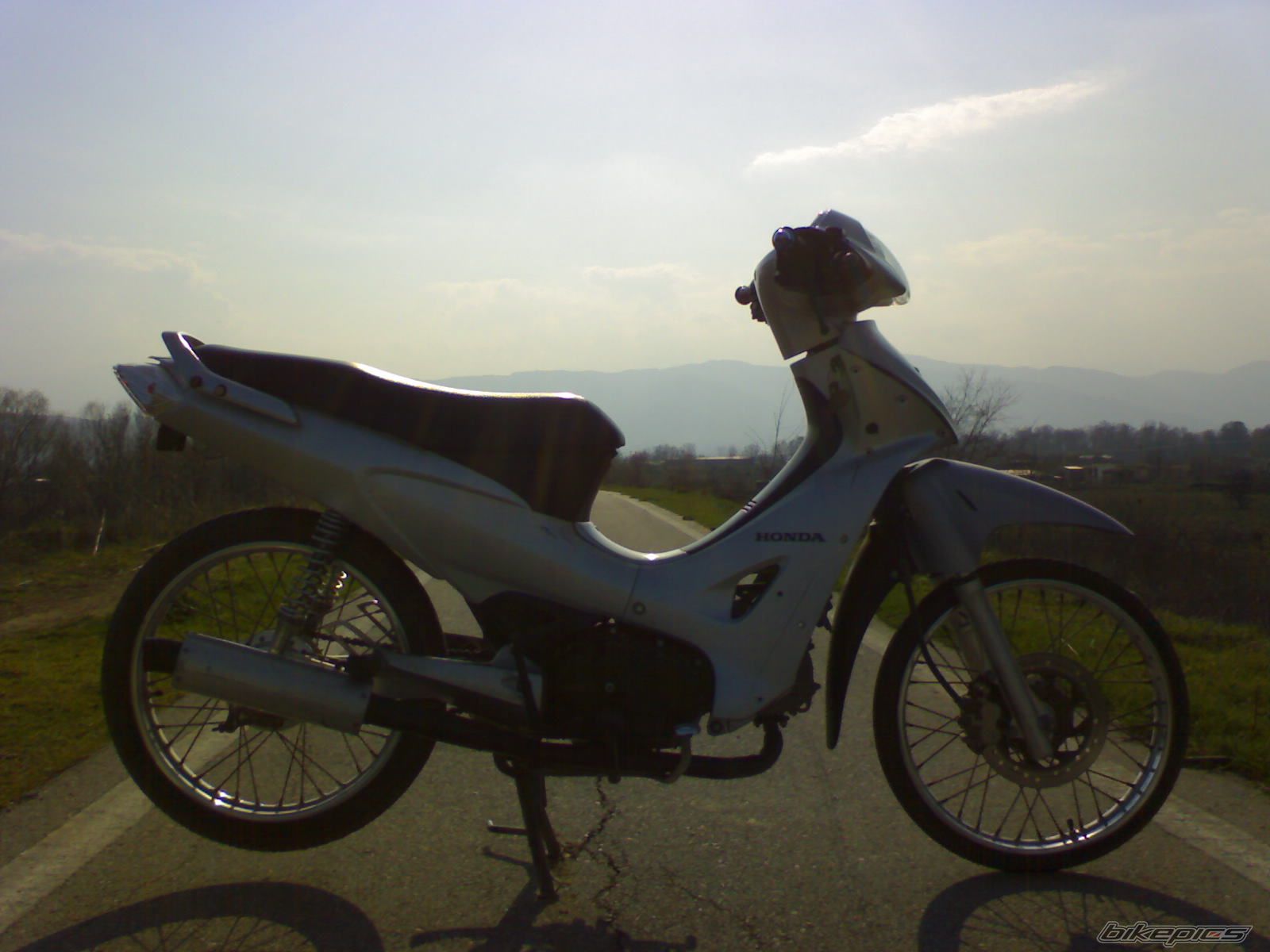 Photo 1217279