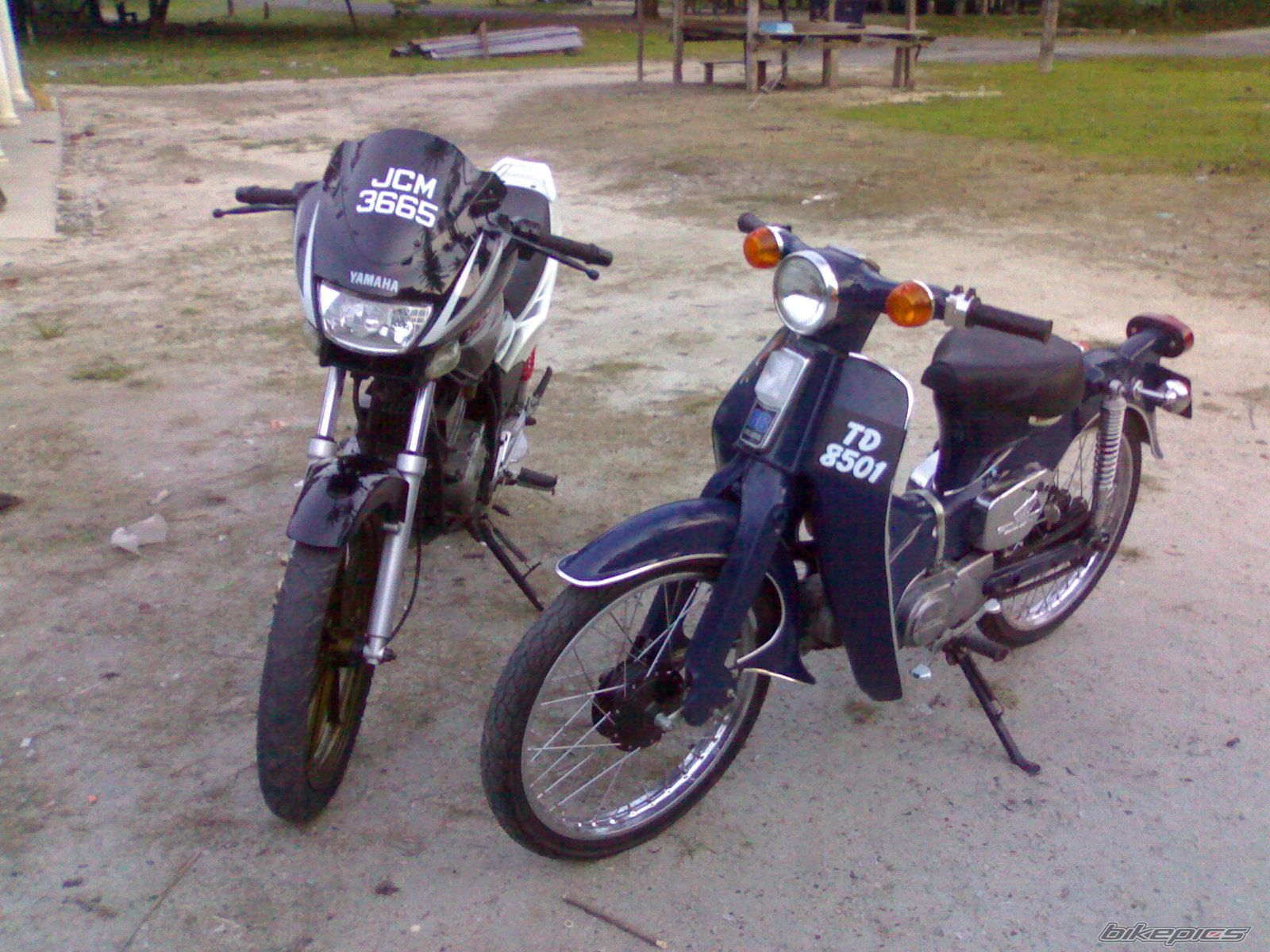 Photo 1217463
