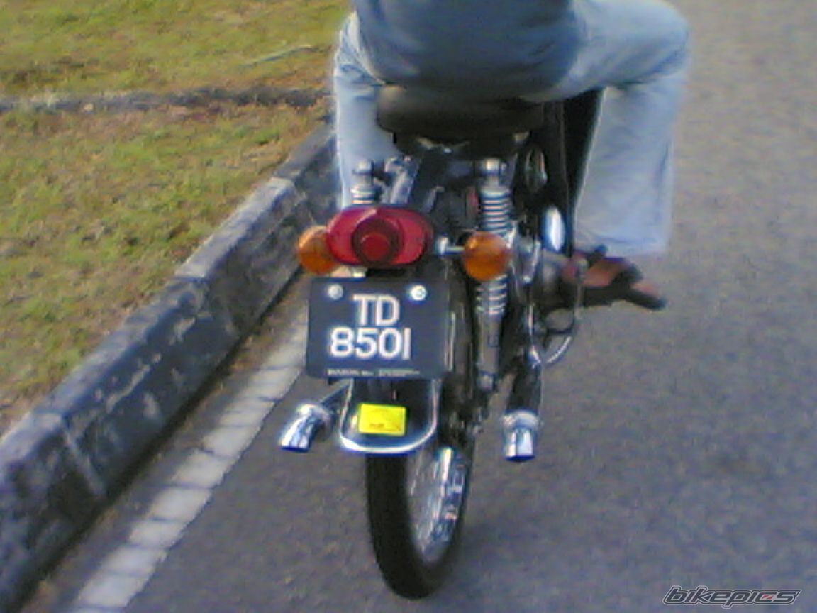 Photo 1217467