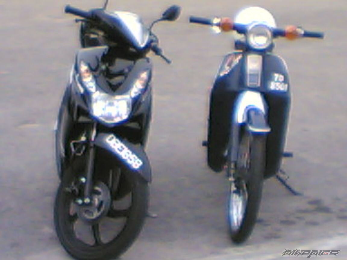 Photo 1217468