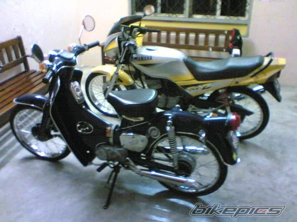 Photo 1217474