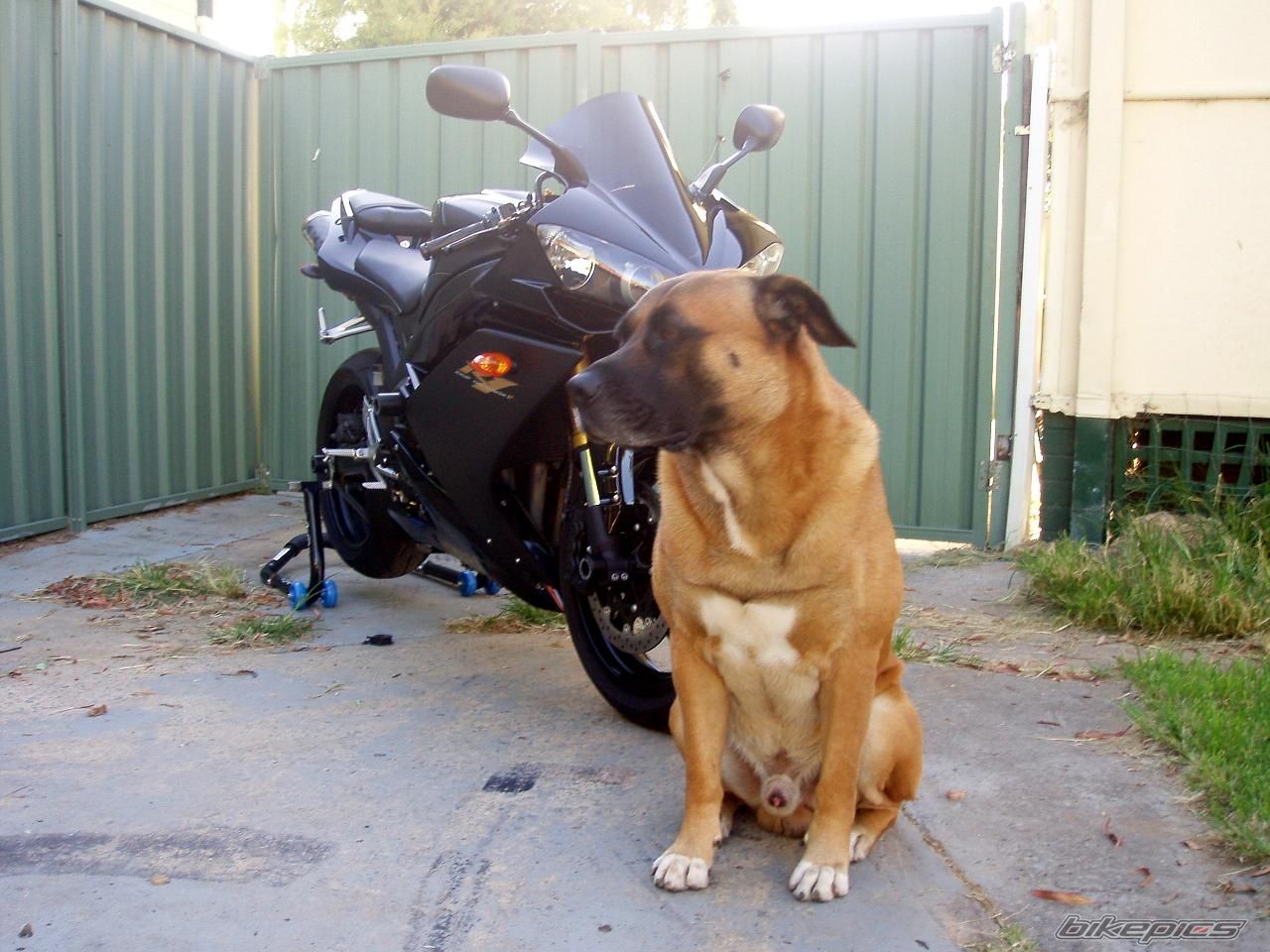 Bike Photo 1217543