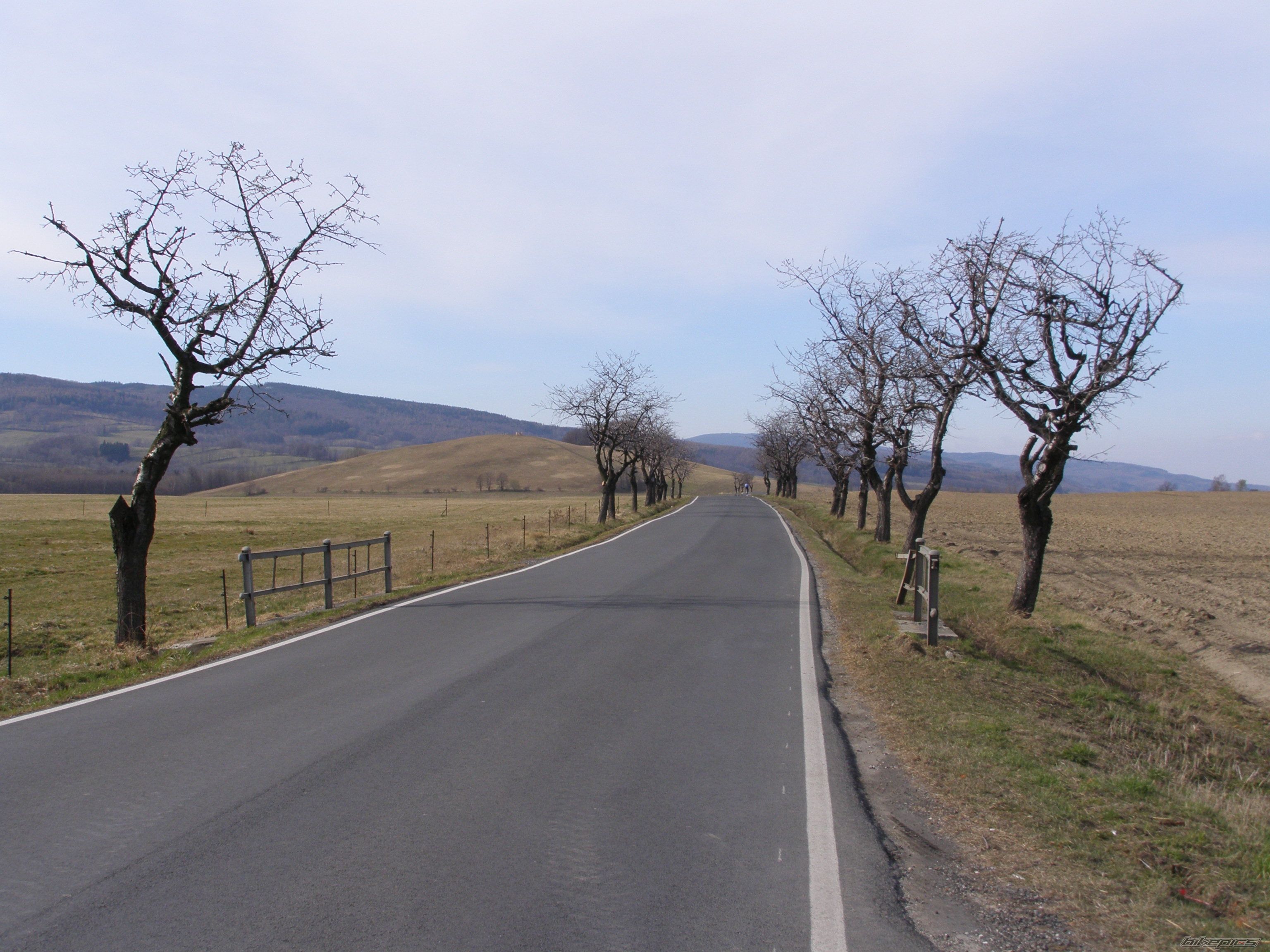 Photo 1217616