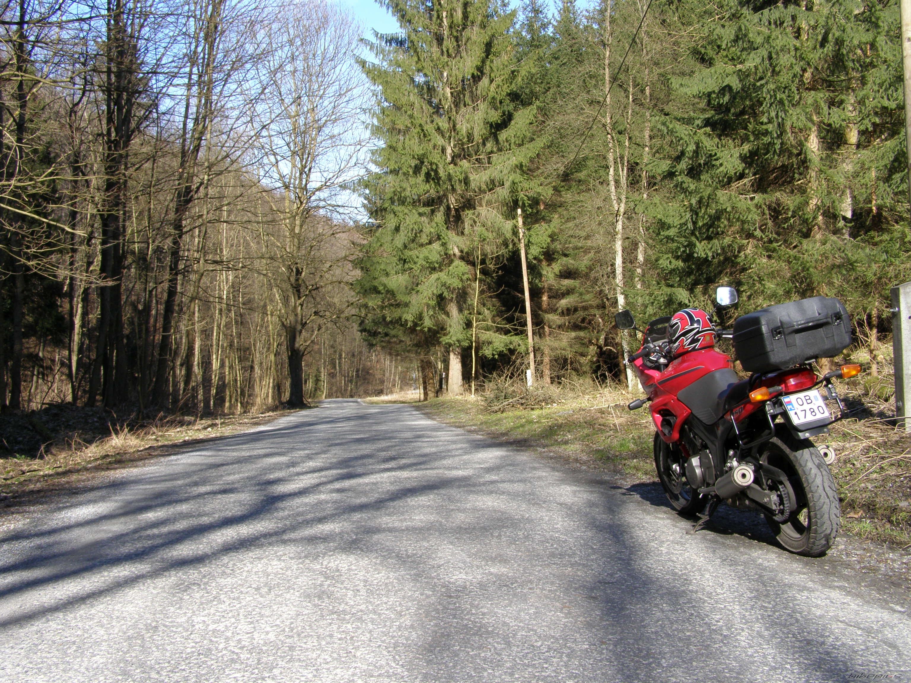 Photo 1217622