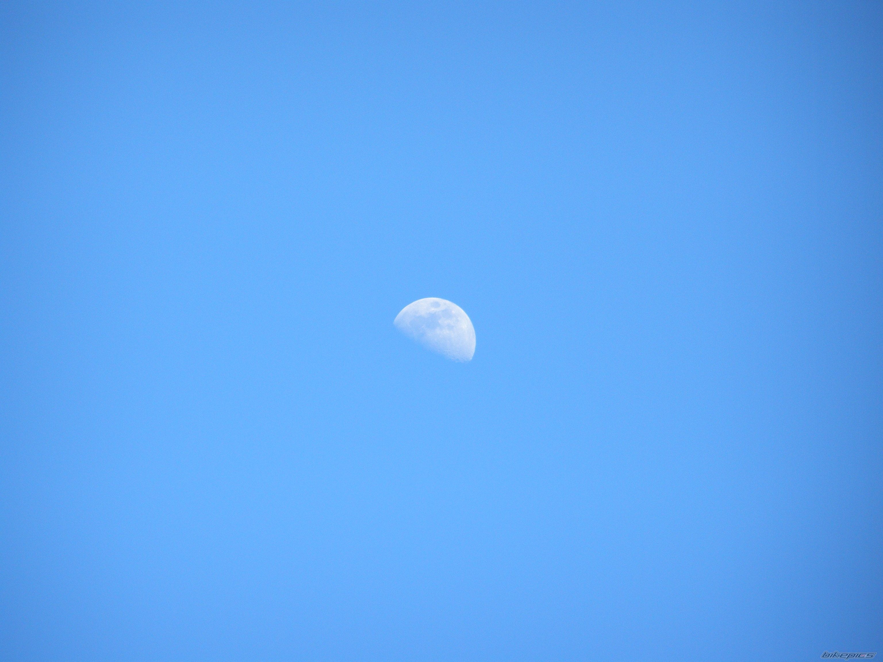 Photo 1217628