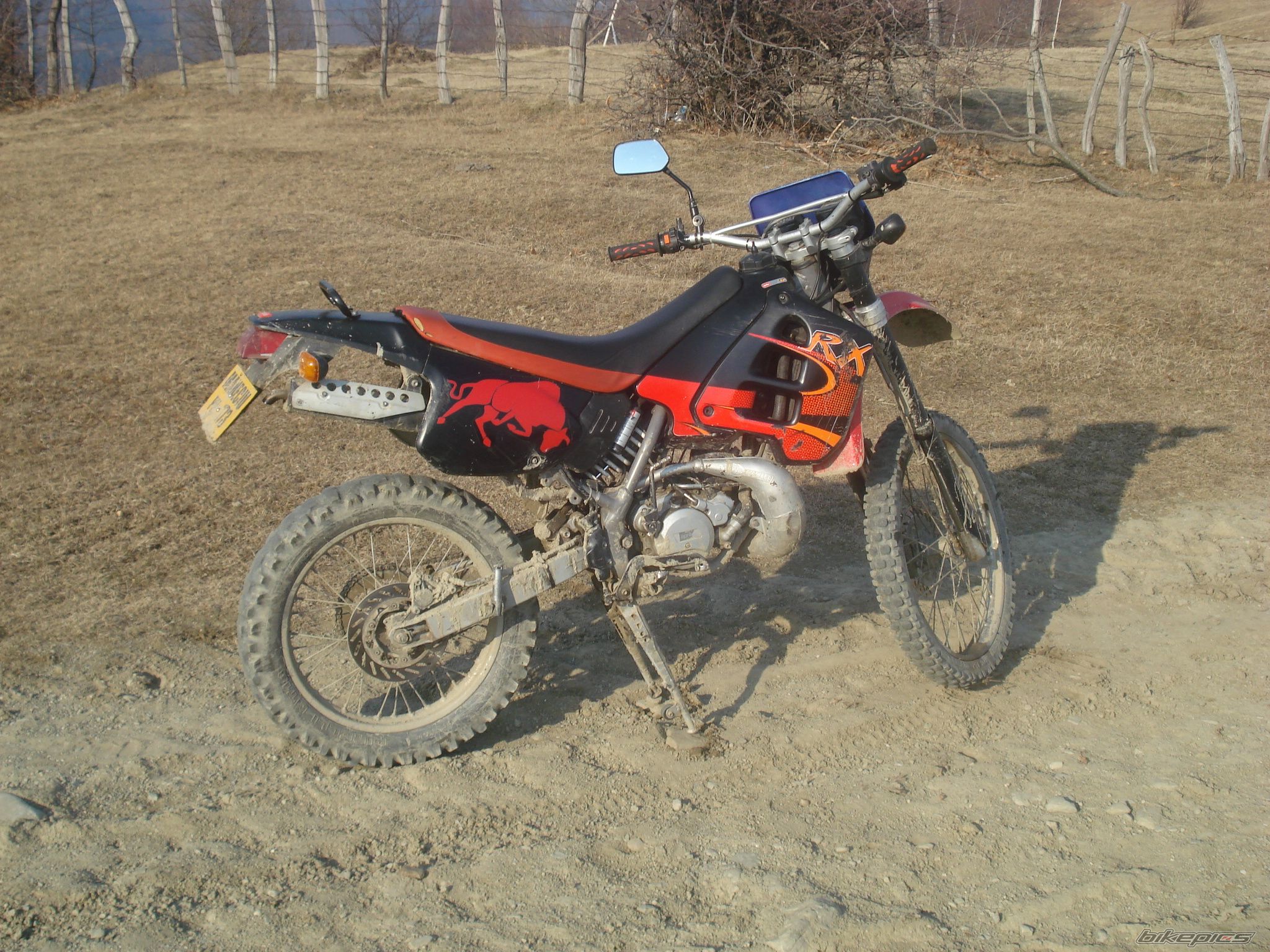 Photo 1217631