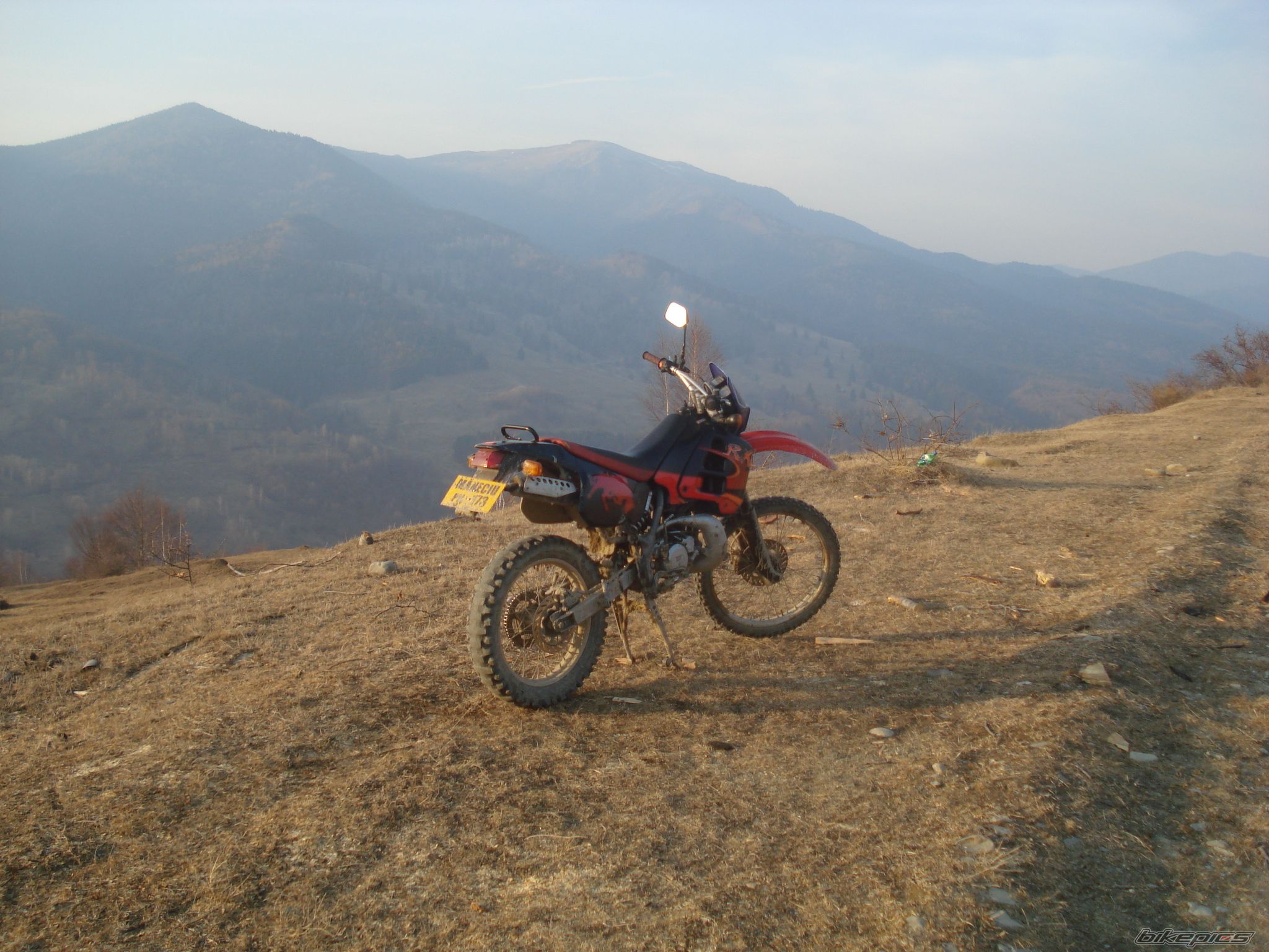 Photo 1217632