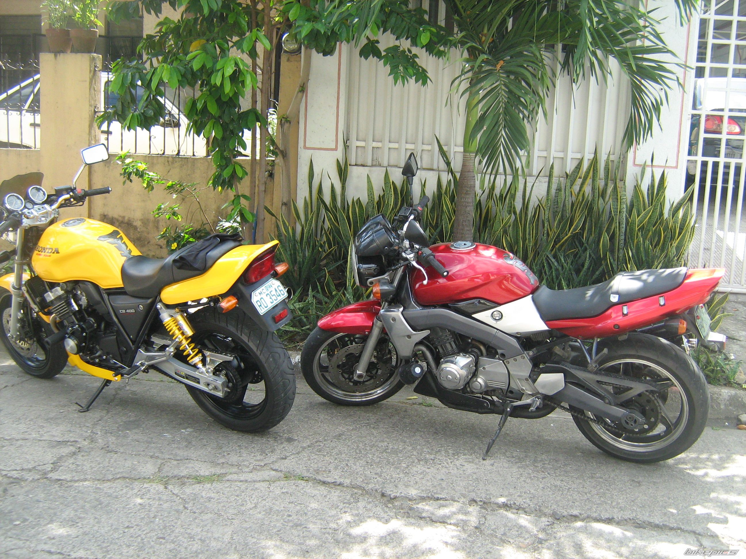 Photo 1217727