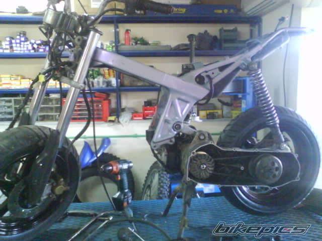 Photo 1217730