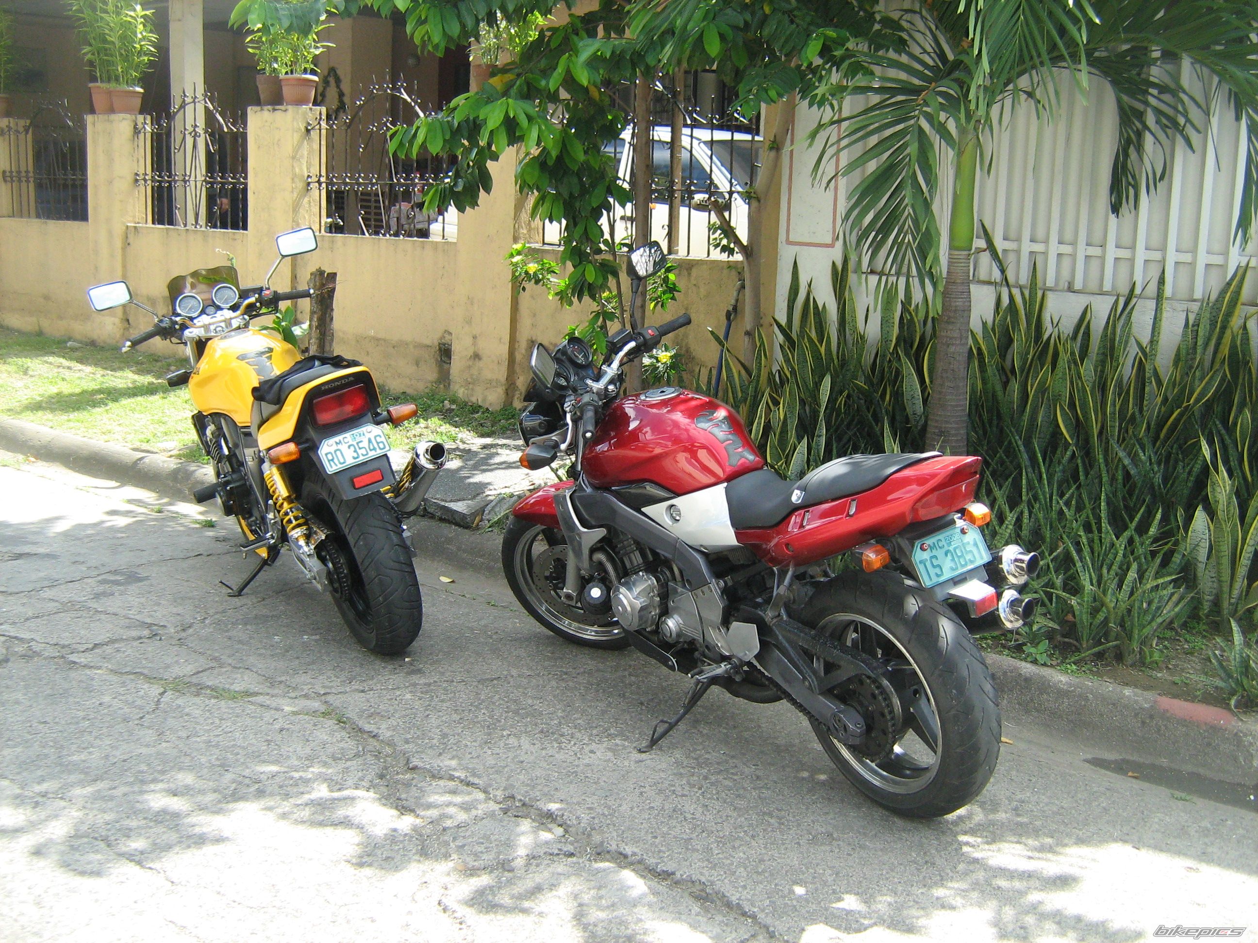 Photo 1217739